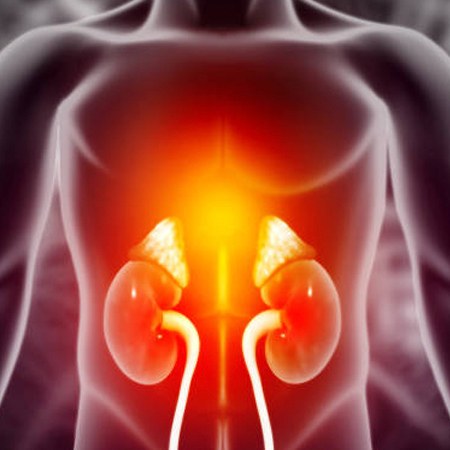 Adrenal Cancer Treatment & Surgery Meerut