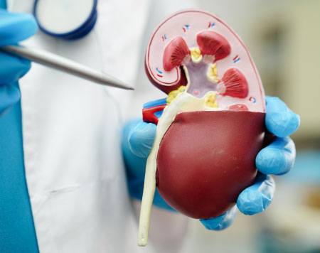 Kidney Transplant Meerut