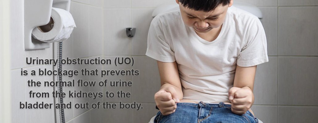 Urinary Obstruction Treatment Meerut